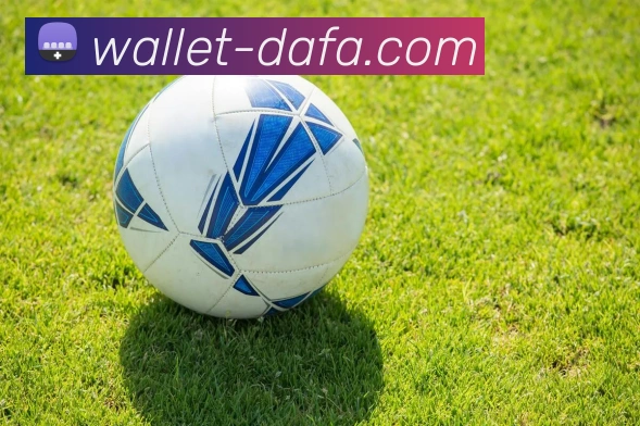 大发彩票发展历程